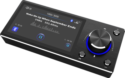 GOLDHORN Panel Controller with Display for Player