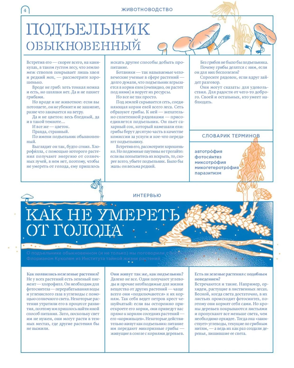 Мико. Полный путеводитель по миру грибов