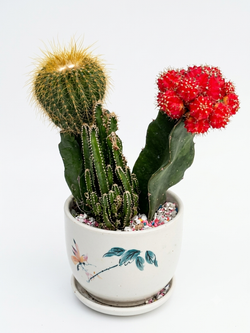 Gemini_Generated_Image_j88u9kj88u9kj88u