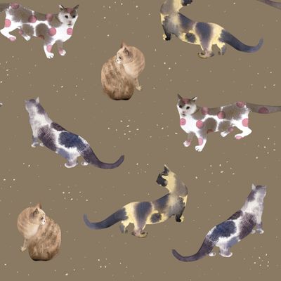 Космические кошки на бежевом