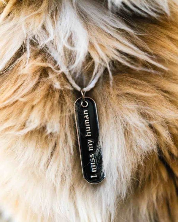 Dogtag I miss my dog - фото 2