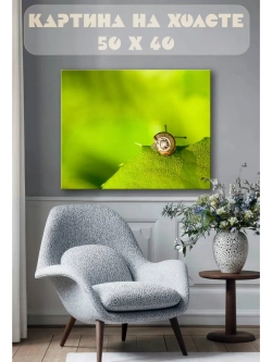 Картина на стену 40 X 50 Улитка
