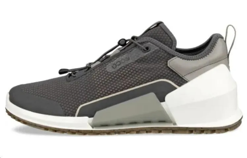 Ecco Biom 2 0
