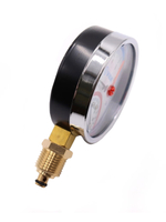 ViEiR Термоманометр 1/2", вертикальный (80 мм/10 бар) (YE10)