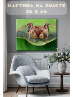 Картина на стену 40 X 50 Паук