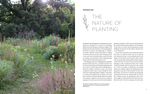 New Naturalism: Designing and Planting a Resilient, Ecologically Vibrant Home Garden