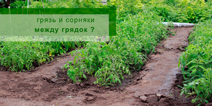Пластиковые садовые дорожки между грядок от сорняков