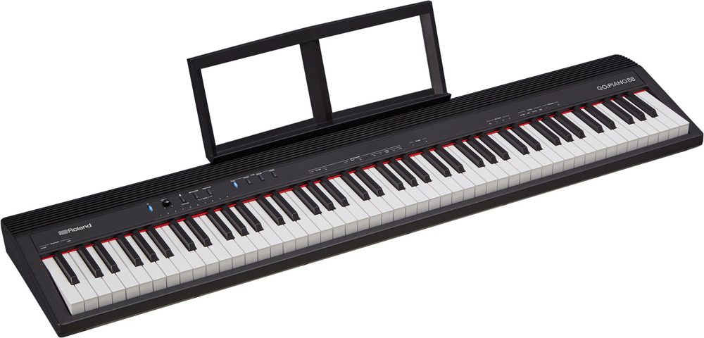 Roland GO-88P