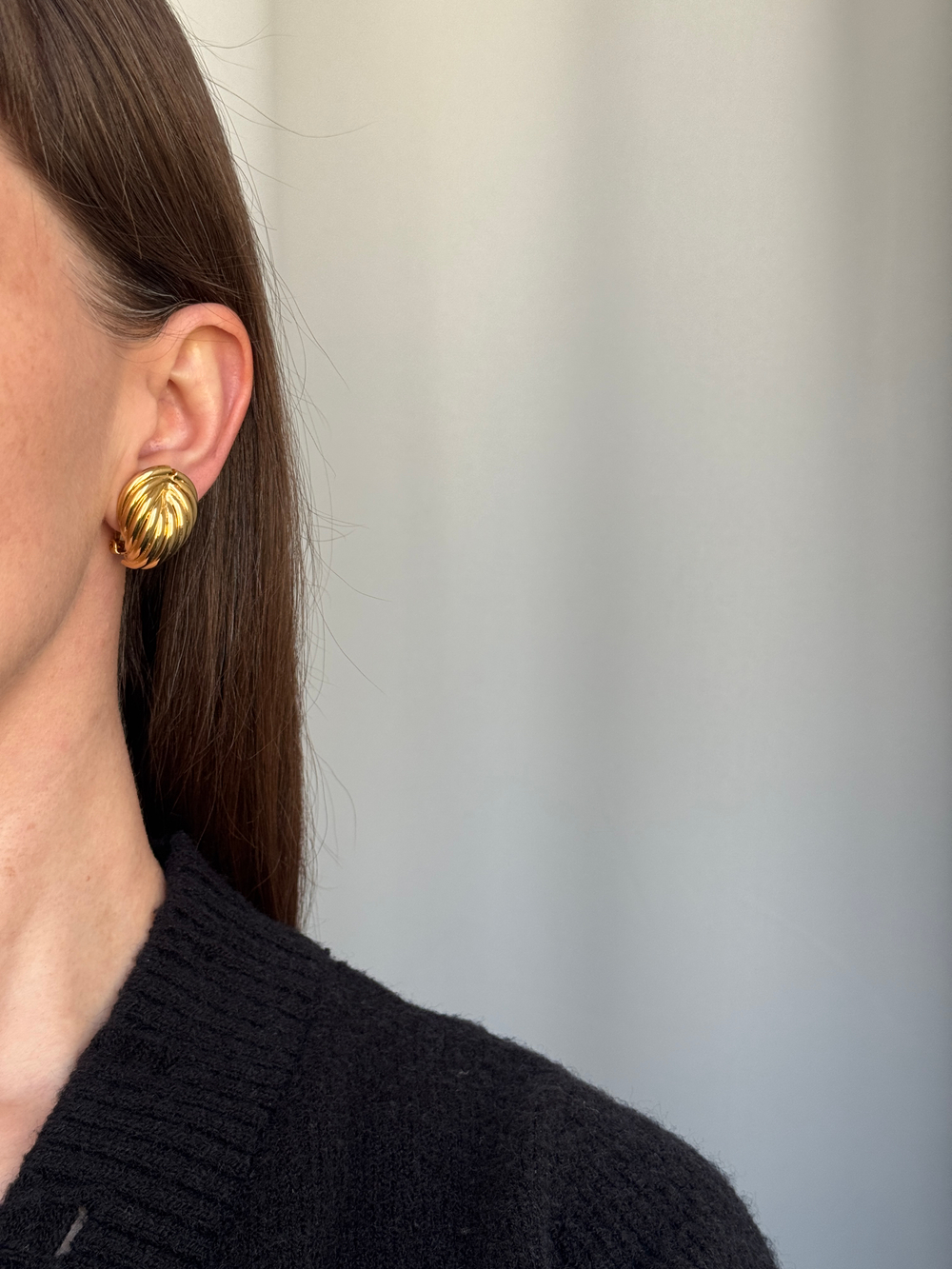 Клипсы Anne Klein
