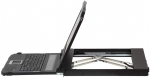 Консоль KVM Aten CL3100NX-ATA-RG