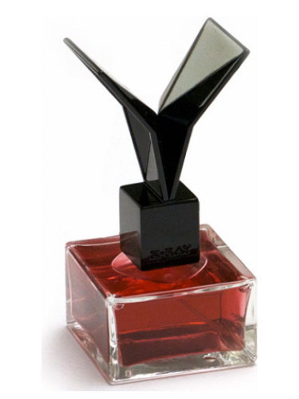 X-Ray Lacquered Rose