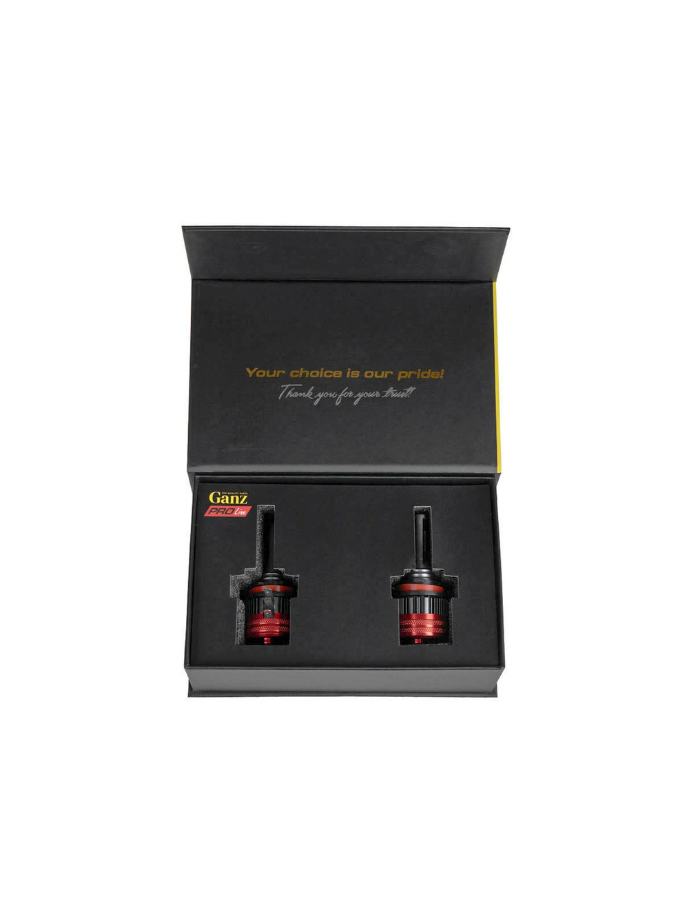 Лампа светодиодная 12/24V H15 36W 3000lm 6000K (LED) GANZ PRO-Line 2 шт. DUOBOX IP68 GIP06370