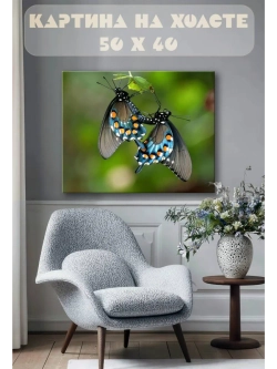 Картина на стену 40 X 50 Бабочки