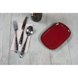 Блюдо овальное 20*13 см h1,9 см для закусок Evolution Dark Red P.L. Proff Cuisine [1]