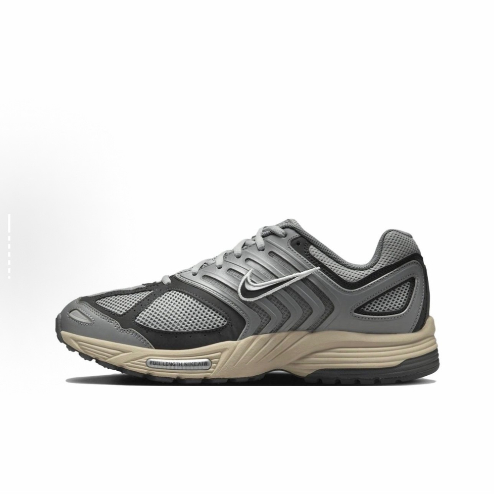 Кроссовки Nike Air Pegasus 2005