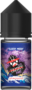 Ароматизатор Husky Import Cloudy Moody (Черника Кислая малина Лёд)
