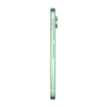 Смартфон Google Pixel 9 12/256GB, Wintergreen (Зимнезелёный) (Японская версия)