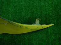 DSCN8753.JPG
