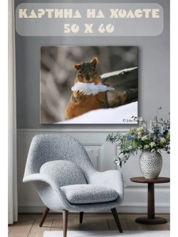 Картина на стену 40 X 50 Белка