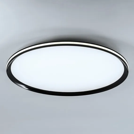 Потолочный светильник LED4U L3020-600 BK LED4U
