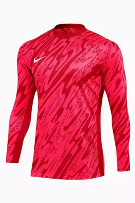 Вратарская кофта Nike Dri-FIT Gardien V GK