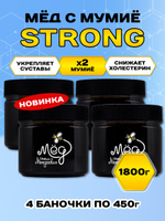 Мёд натуральный с мумие STRONG набор (4 банки по 450 г), 1800 г