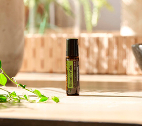 «Шинрин-Ёку» смесь эфирных масел, doTERRA Shinrin-Yoku (купание в лесу), роллер 10 мл