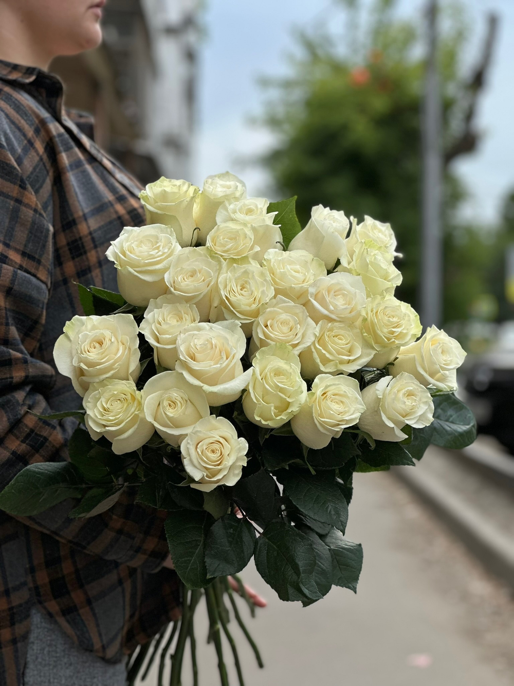 Белая роза сорт «Мондиаль» (Эквадор)