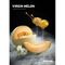 DarkSide - Virgin Melon (250г)