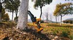 CGSLI20682