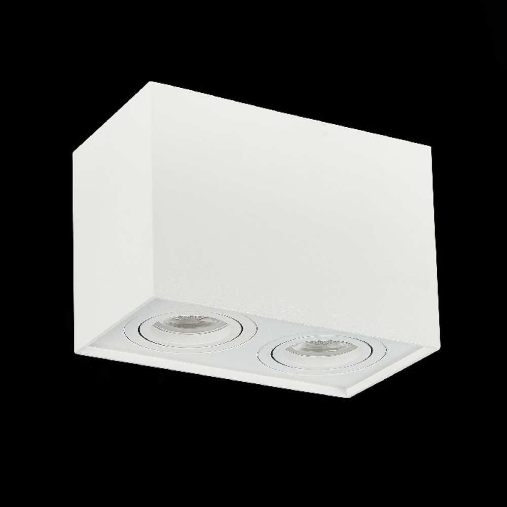 Накладной светильник ST Luce QUADRUS ST109.507.02