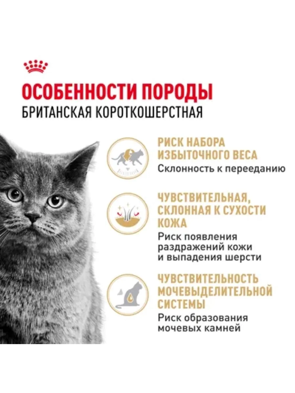 British Shorthair Корм для кошек в соусе 85г*28шт