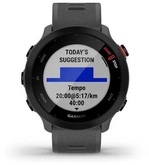 Умные часы Garmin Forerunner 55 Monterra Grey (010-02562-13)