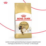 Royal Canin Siberian Adult Сибирская Эдалт Корм сухой для взрослых кошек сибирской породы от 1 года и старше 2кг