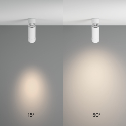 Потолочный светильник Technical C055CL-L12W4K-Z-W