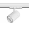 Трековый светильник Alta Base A5236QT15G Lightstar