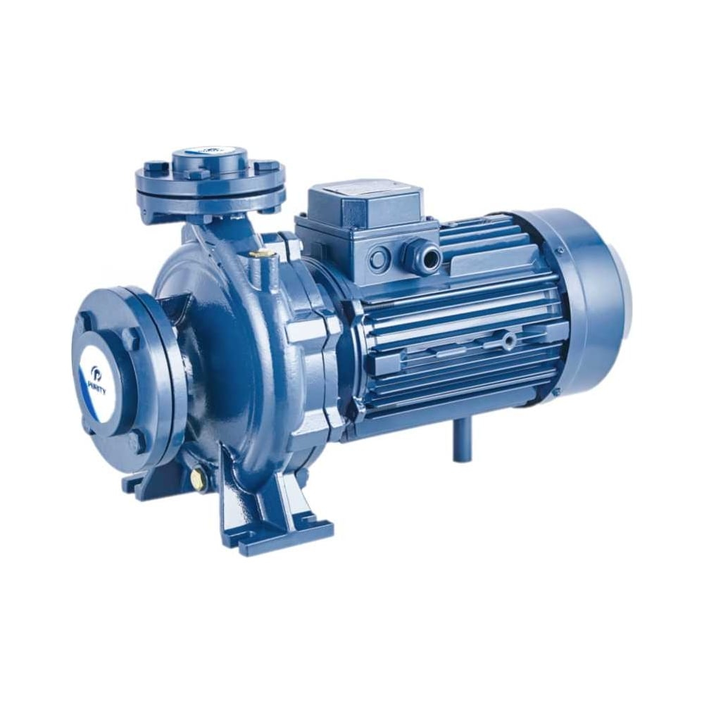 Консольно-моноблочный фланцевый насос PURITY PSTC 32-250/55D (N)