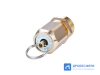 Клапан предохранительный воздушный 25 бар | 2,5 МПА | G 1/2" с кольцом