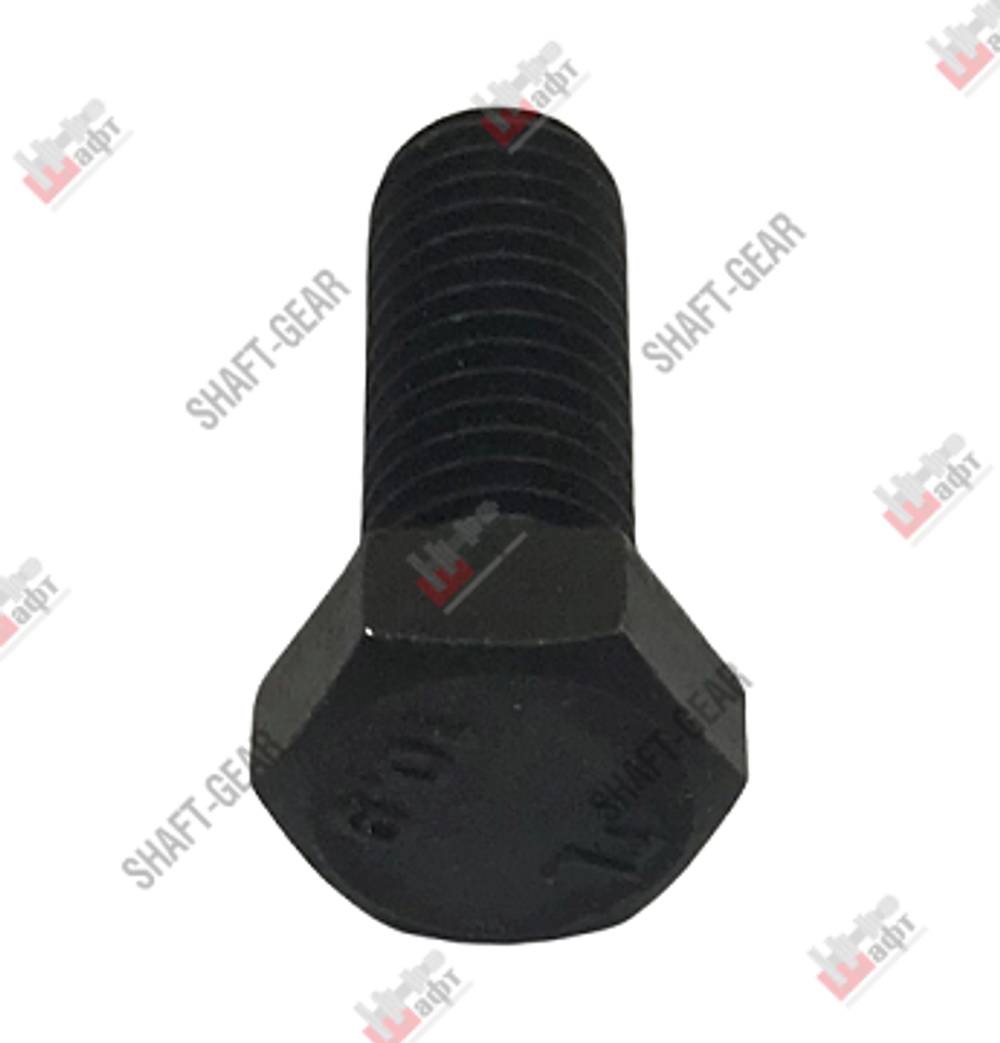 Q150B1230TF2 - Болт M12*30*1,75
