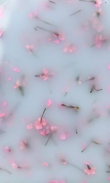 SOFT BLOOM 001 15 мл Navi
