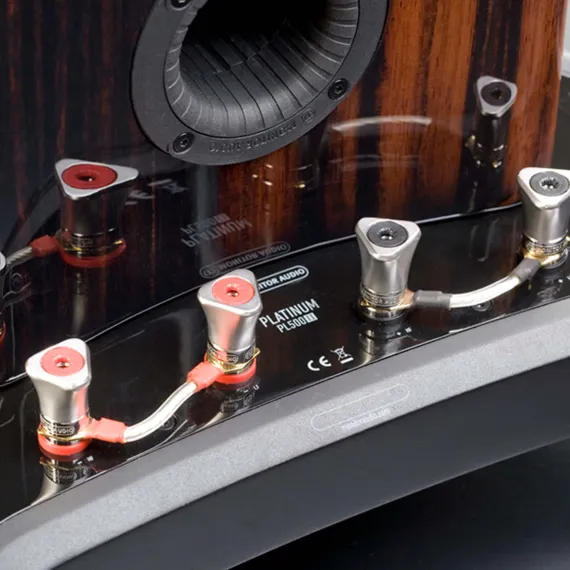 Monitor Audio Platinum PL500 II Ebony
