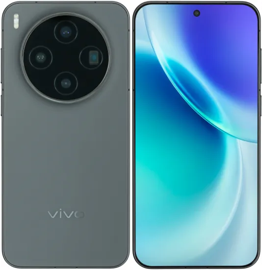 Vivo X300