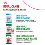 Royal Canin Mini Starter Мини Стартер Корм сухой для собак мелких пород в конце беременности в период лактации для щенков до 2-х месяцев 1кг