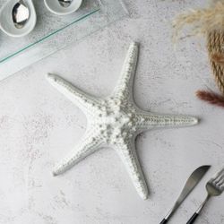 Блюдо для подачи 24 см h6 см для закусок Звезда Gray Starfish Frutti di Mare P.L. [1]