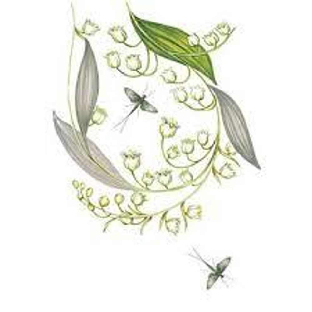 Woods of Windsor Lily of the Valley