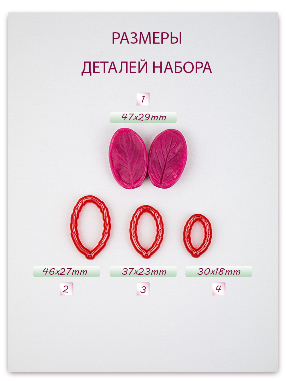 Мята. Сорт 2