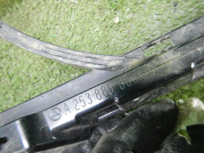 DSCN7944.JPG