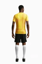 Вратарская футболка Nike Gardien VI Goalkeeper - желтый
