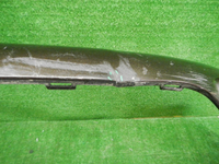 DSCN7395.JPG