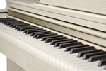 Becker BDP-82